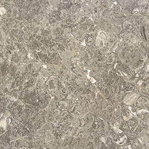 مرمریت پرشین سبزه وار