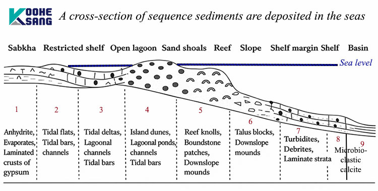 سنگ های رسوبی چگونه تشکیل می شوند؟ 4 مقطع عرضی از ترتیب ته نشینی رسوبات در دریا