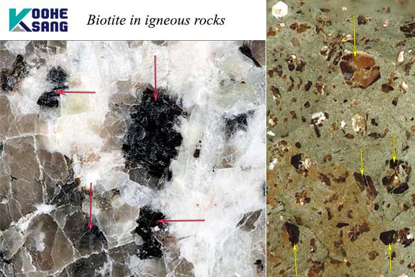 بیوتیت (میکای سیاه) چیست و چه کاربردی دارد؟ 4 بیوتیت در سنگ های آذرین