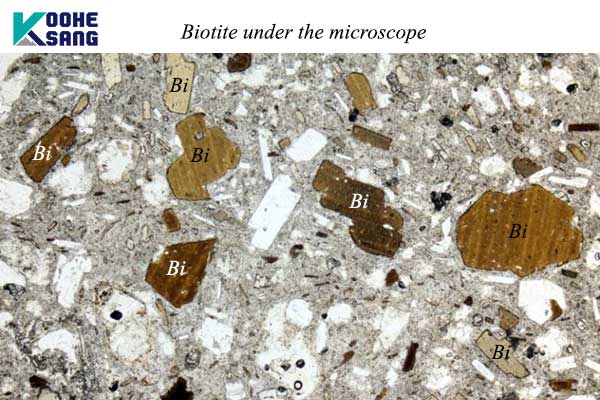 بیوتیت (میکای سیاه) چیست و چه کاربردی دارد؟ 2 بیوتیت در زیر میکروسکوپ