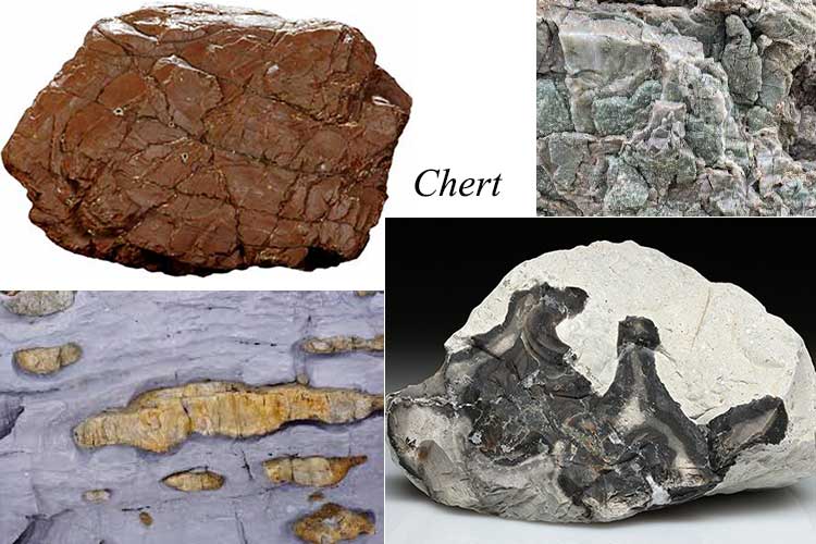 سنگ چرت چیست و انواع آن کدامند؟ 1 What is chert